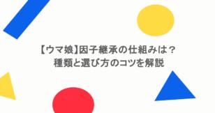【ウマ娘】因子継承の仕組みは?種類と選び方のコツを解説